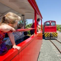 Train ride fun at Founders